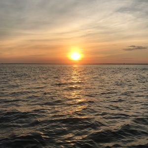 AFTCO shorts Men’s size 28 19 inch seam